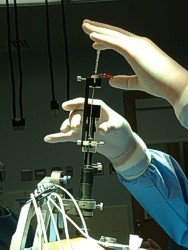 Parkinson's Disease
