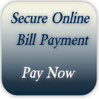 Click to submit an online payment.